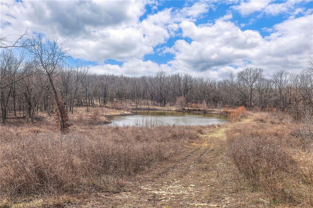 720 Southwest 800th Road Chilhowee, MO 64733 - Photo 40 of 69