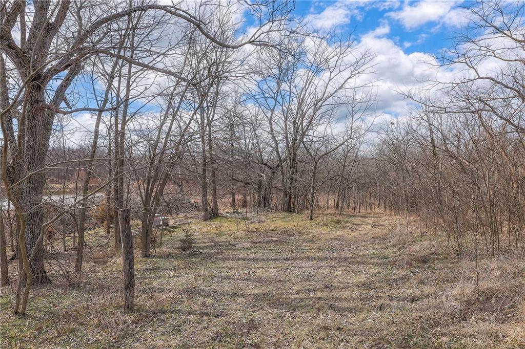 720 Southwest 800th Road Chilhowee, MO 64733 - Photo 41 of 69