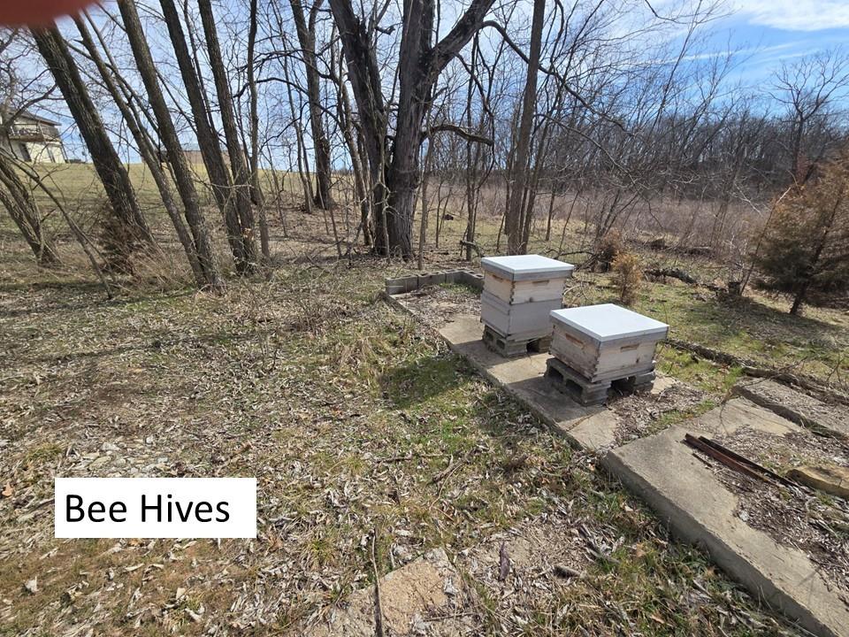 720 Southwest 800th Road Chilhowee, MO 64733 - Photo 45 of 69