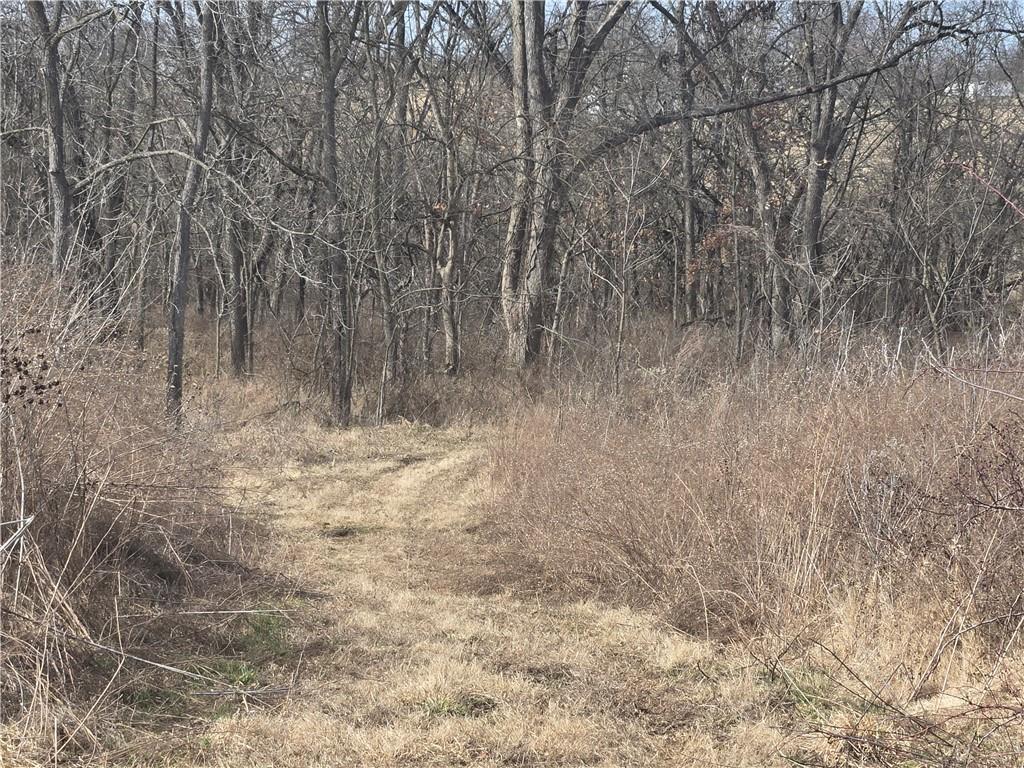 720 Southwest 800th Road Chilhowee, MO 64733 - Photo 51 of 64