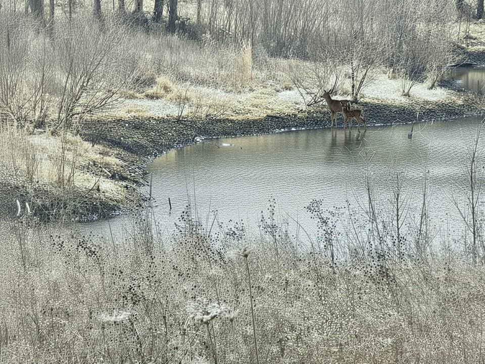 720 Southwest 800th Road Chilhowee, MO 64733 - Photo 54 of 64