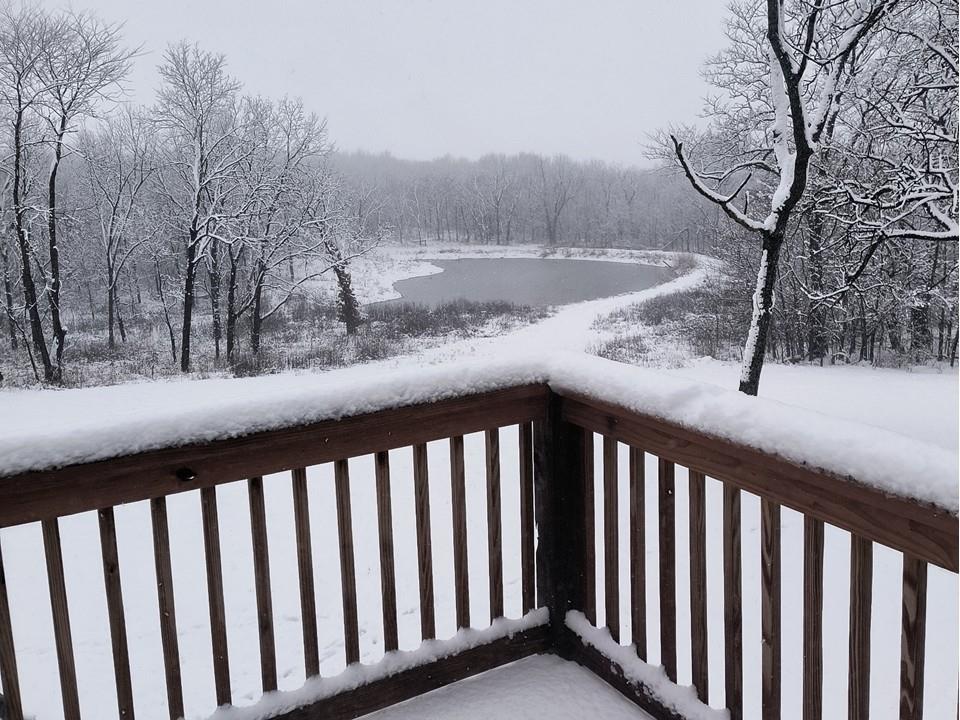 720 Southwest 800th Road Chilhowee, MO 64733 - Photo 55 of 64