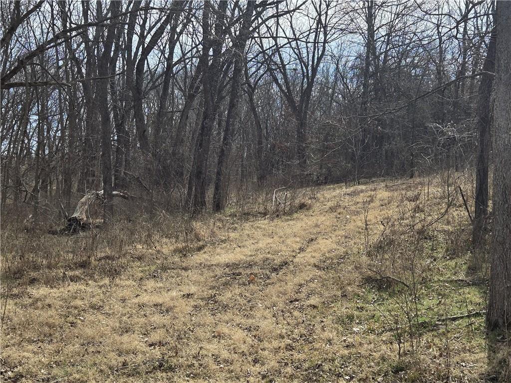 720 Southwest 800th Road Chilhowee, MO 64733 - Photo 55 of 69