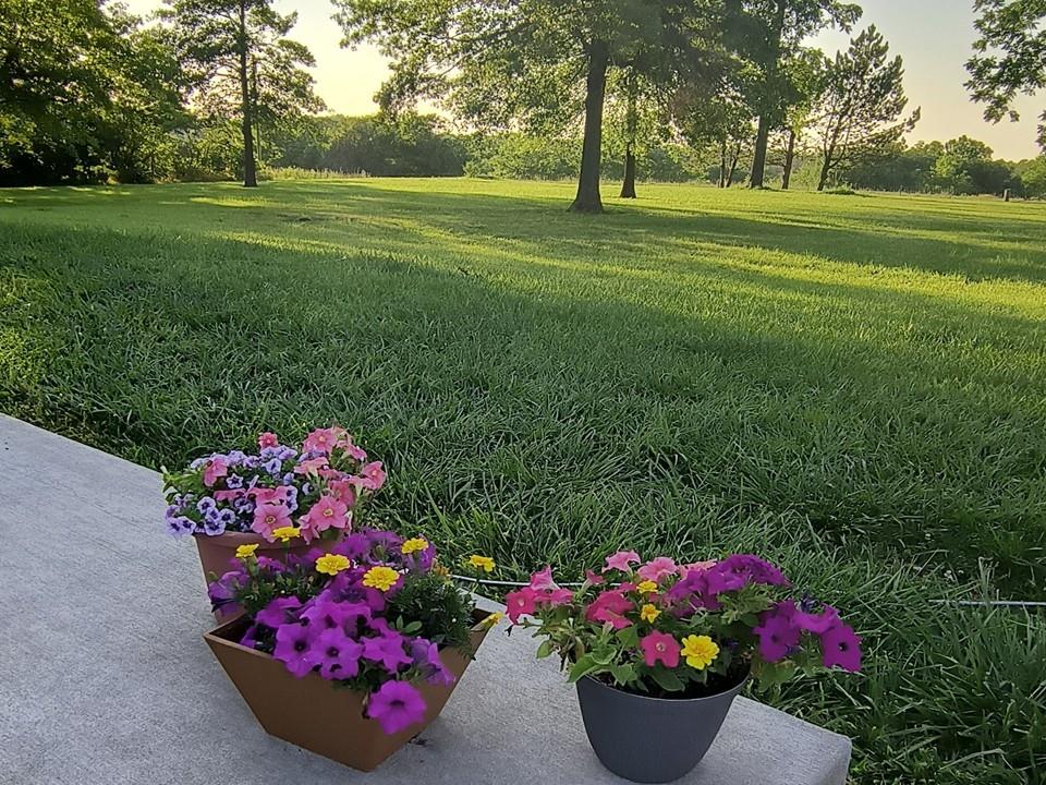 720 Southwest 800th Road Chilhowee, MO 64733 - Photo 8 of 64