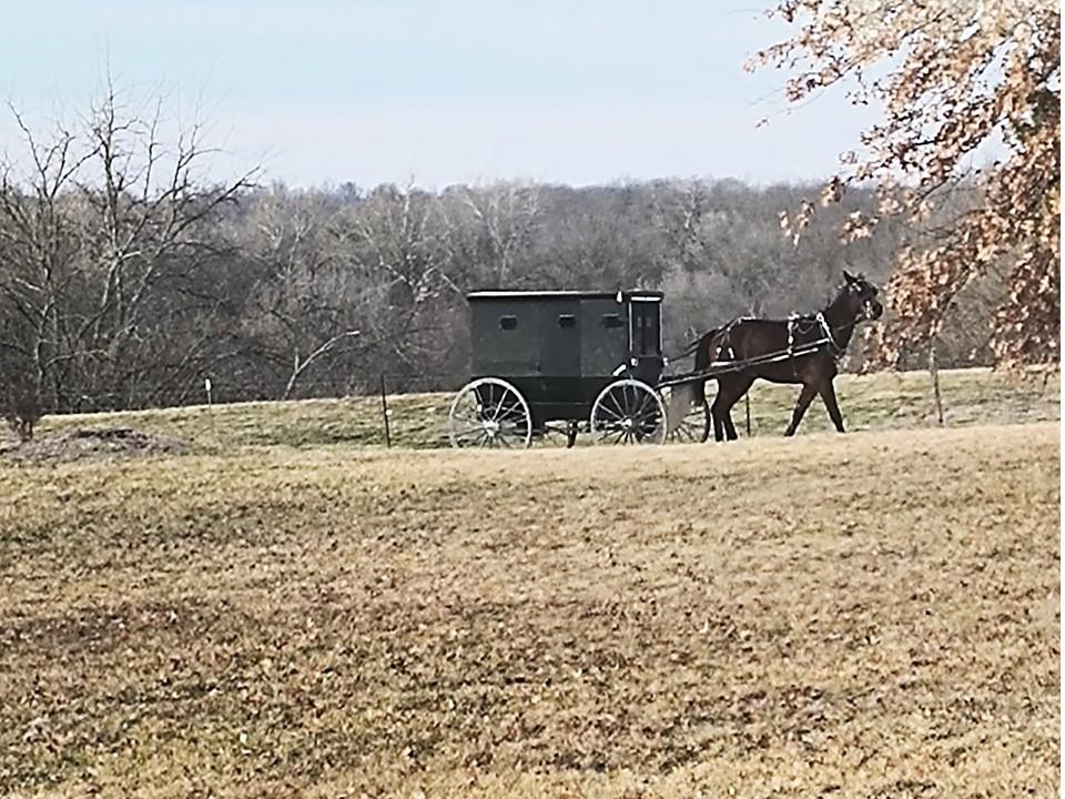 720 Southwest 800th Road Chilhowee, MO 64733 - Photo 10 of 64