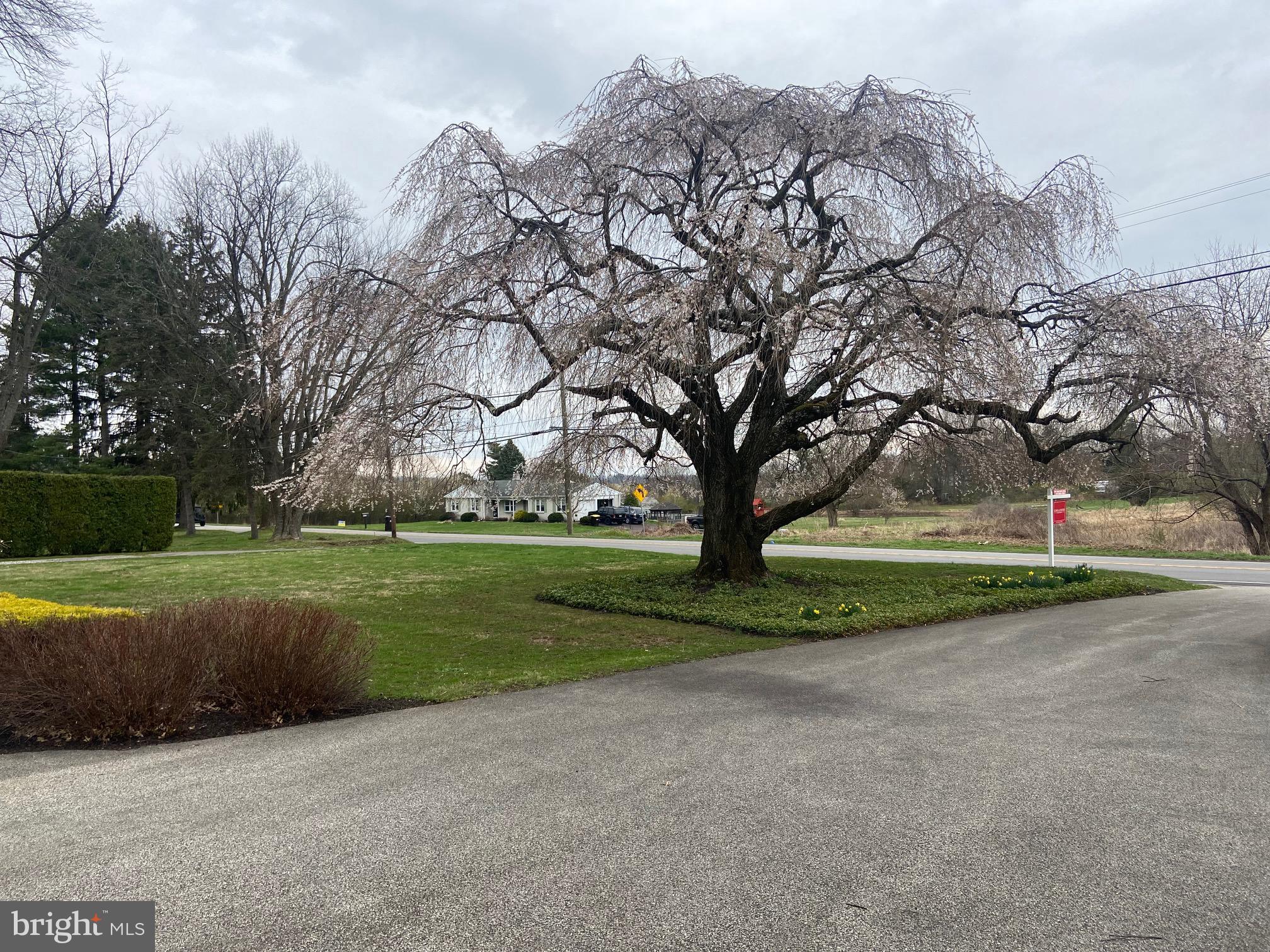 1251 Valley Forge Road Norristown, PA 19403 - Photo 21 of 40 front yard