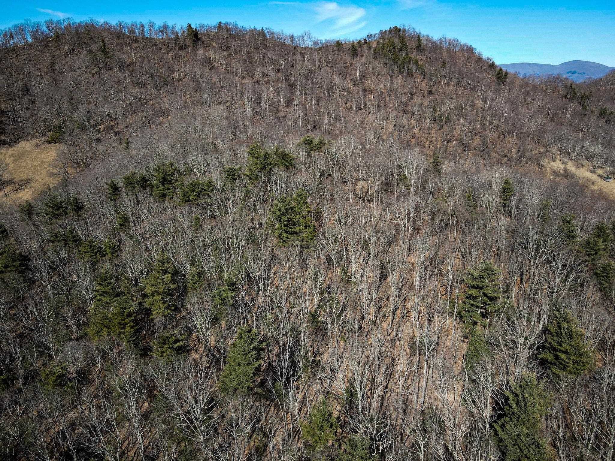 Tbd Mountain Field Road Pearisburg, VA 24134 - Photo 5 of 17 Gallery Image 5