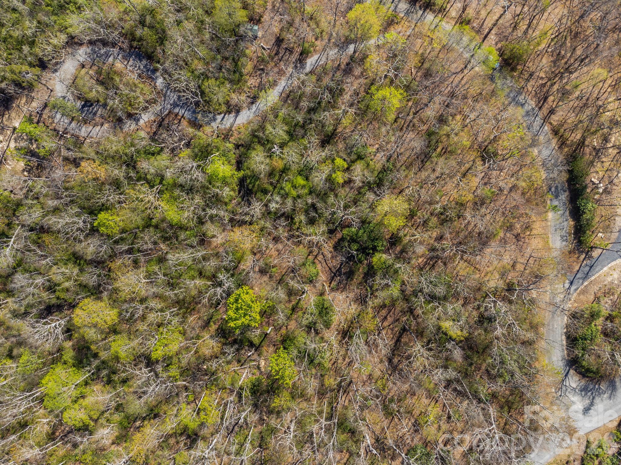Lot 27 Trails End Road, Unit 27 Spruce Pine, NC 28777 - Photo 24 of 42