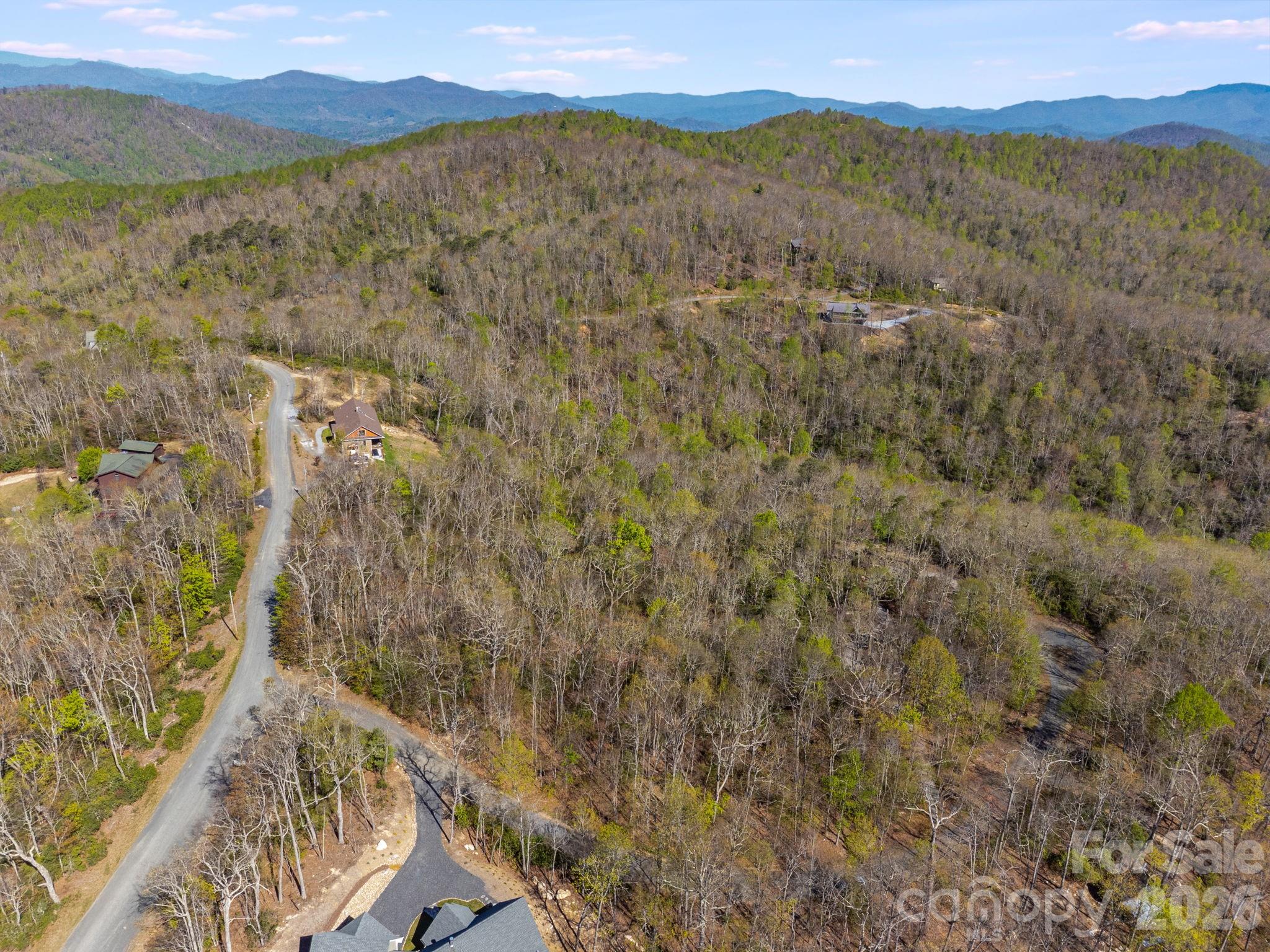 Lot 27 Trails End Road, Unit 27 Spruce Pine, NC 28777 - Photo 31 of 42