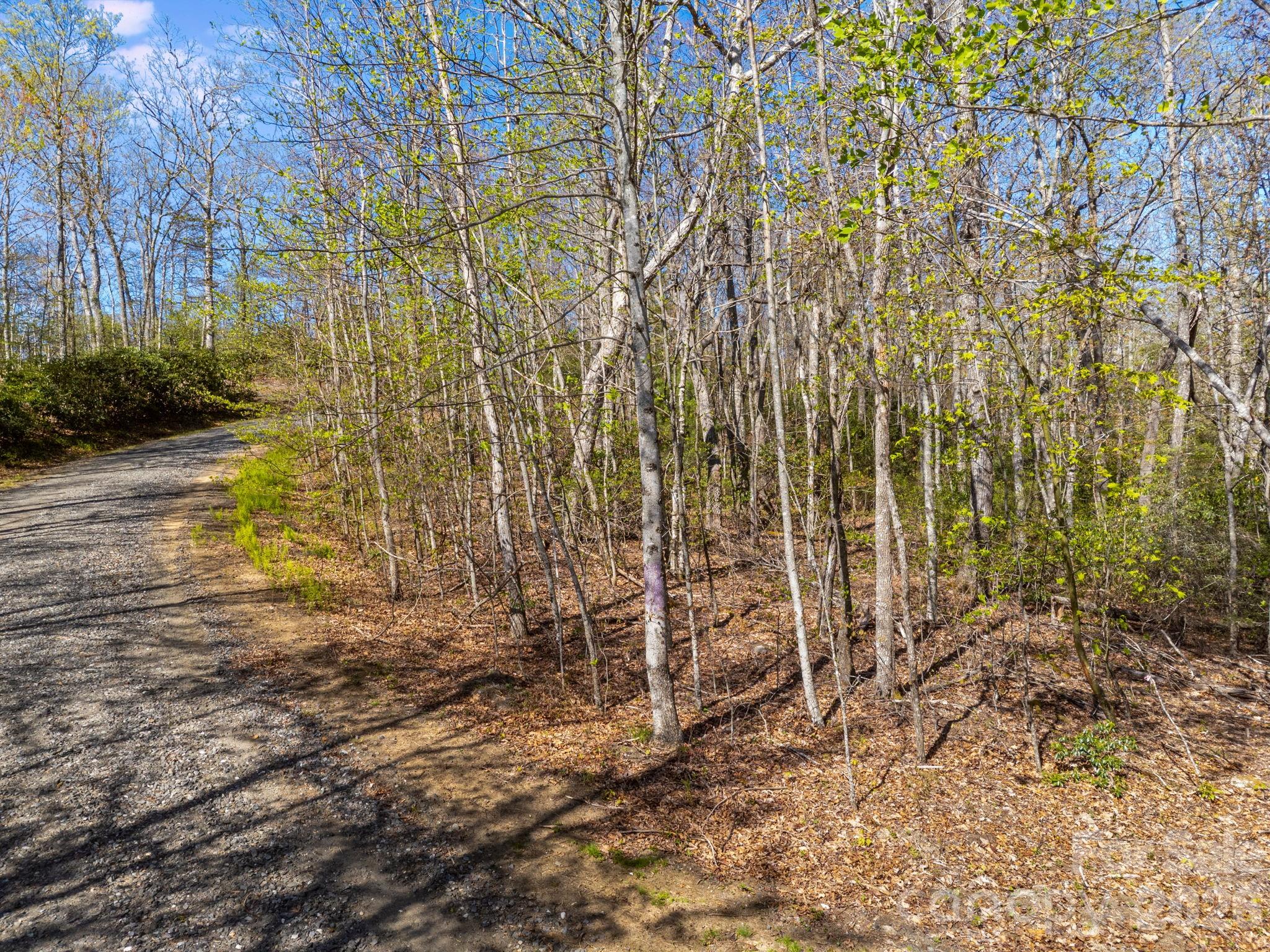 Lot 27 Trails End Road, Unit 27 Spruce Pine, NC 28777 - Photo 4 of 42 a view of a pathway with a yard