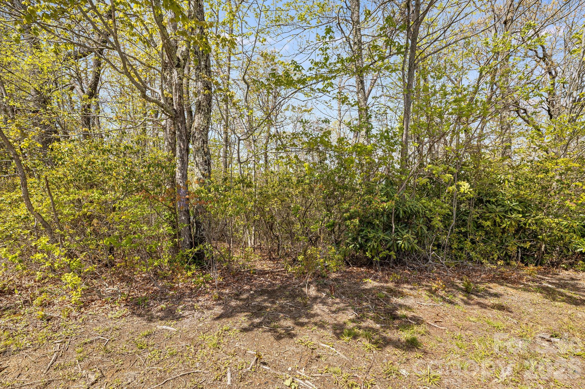 Lot 27 Trails End Road, Unit 27 Spruce Pine, NC 28777 - Photo 6 of 42 a view of a yard with a tree