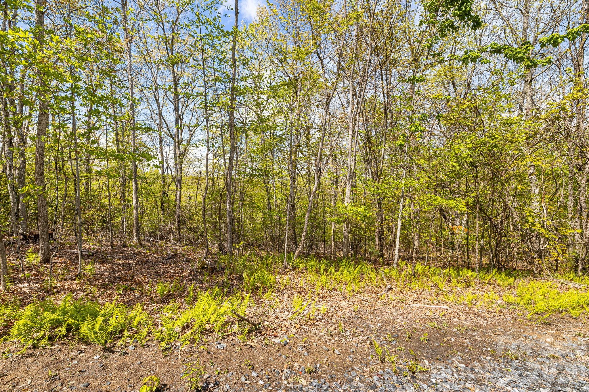 Lot 27 Trails End Road, Unit 27 Spruce Pine, NC 28777 - Photo 7 of 42 a bathroom with a blue wall and a shower
