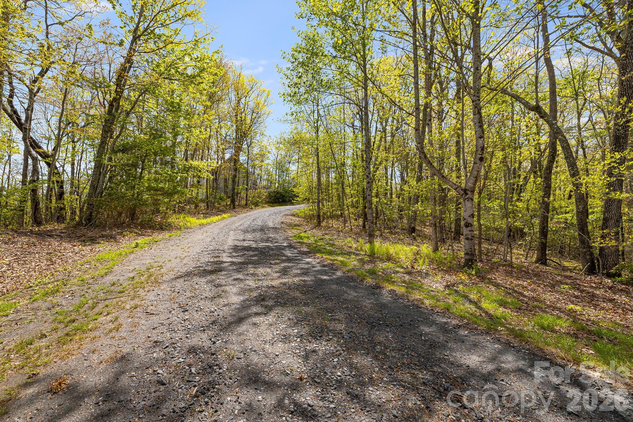 Lot 27 Trails End Road, Unit 27 Spruce Pine, NC 28777 - Photo 8 of 42 a view of a yard with trees