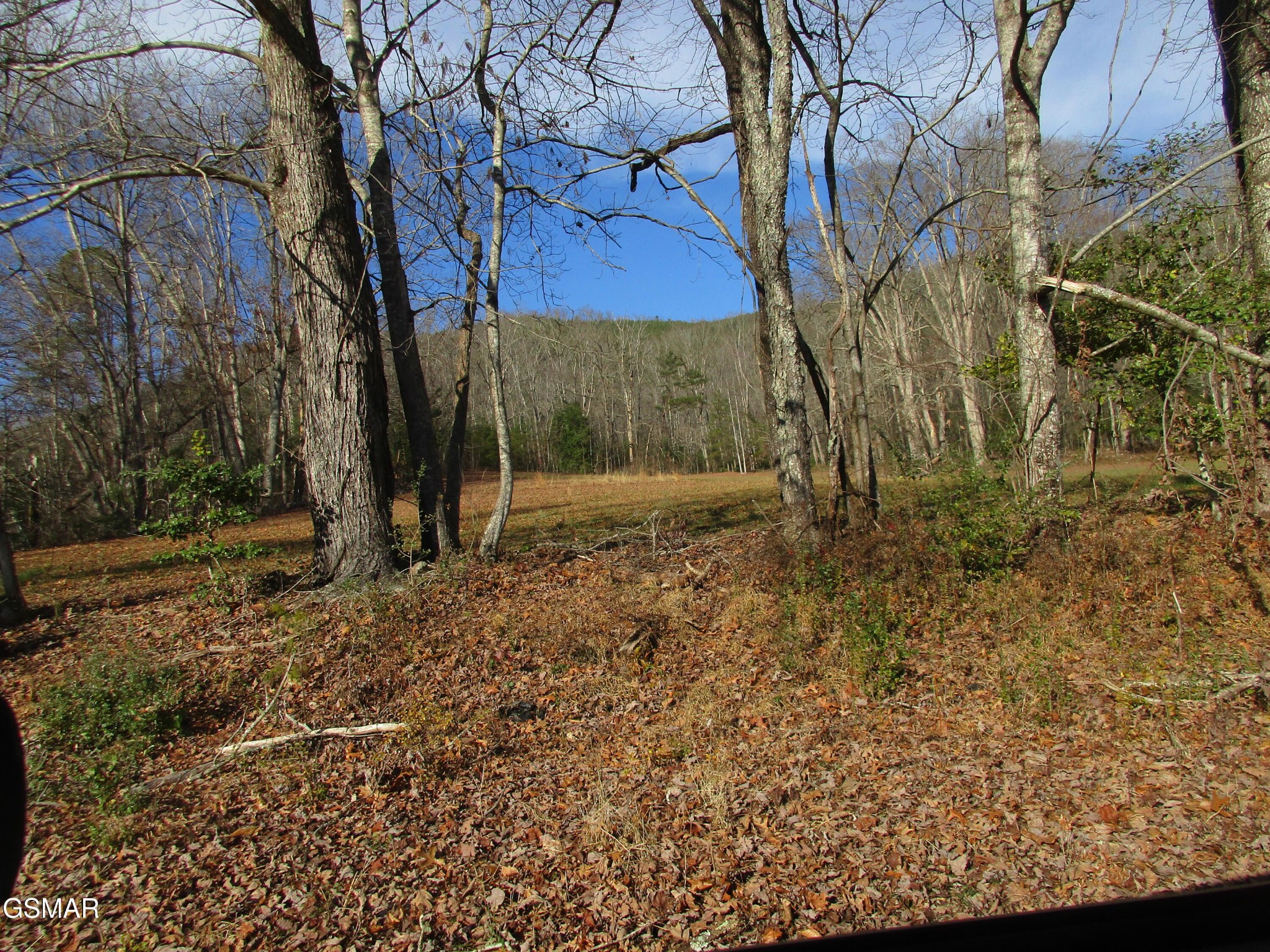 4317 Lindsey Gap Road Cosby, TN 37722 - Photo 23 of 28 Gallery Image 23