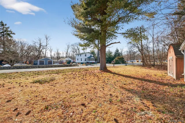 a view of yard with trees