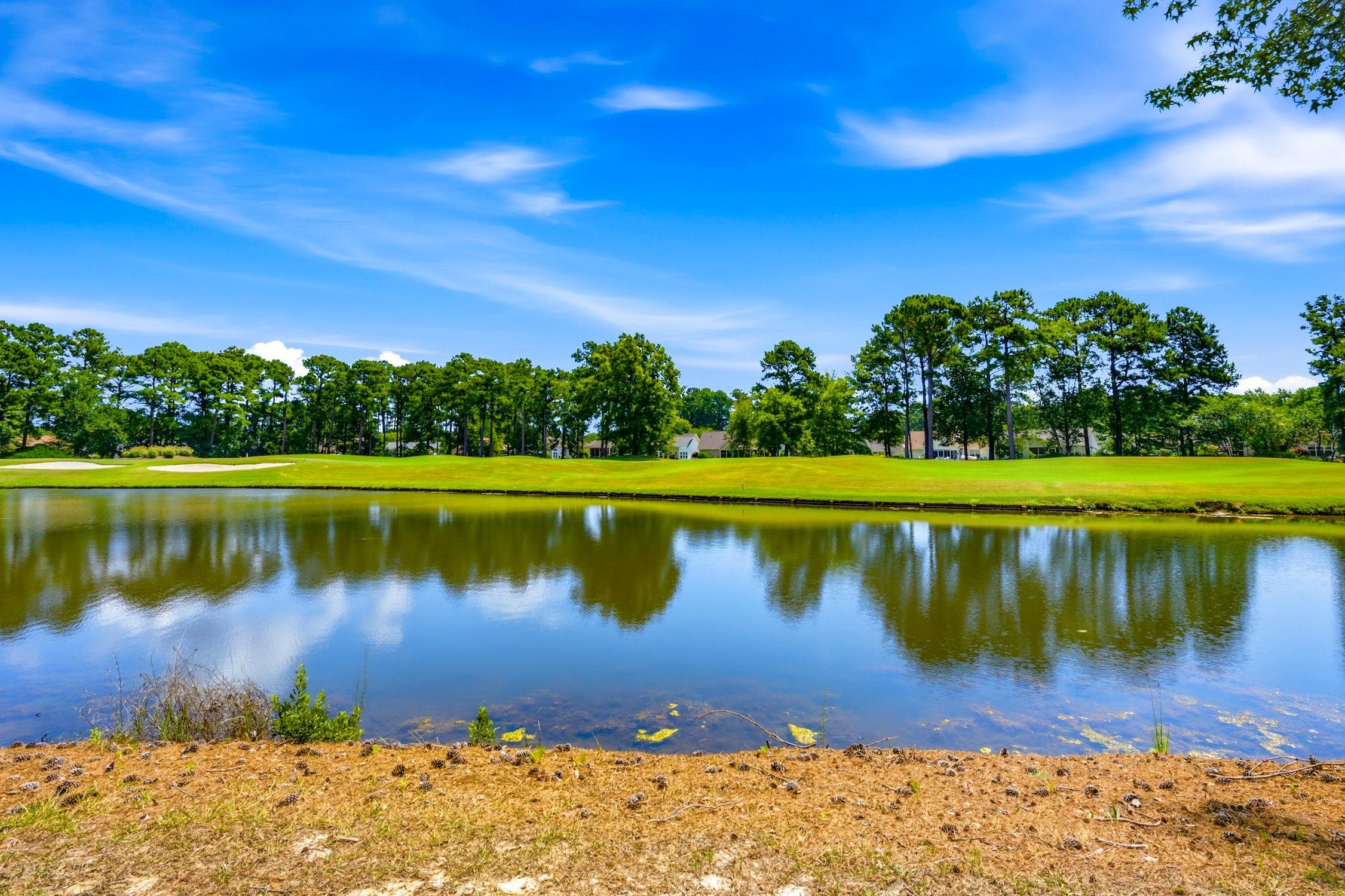 444 Hunley Lane Myrtle Beach, SC 29579 - Photo 45 of 46