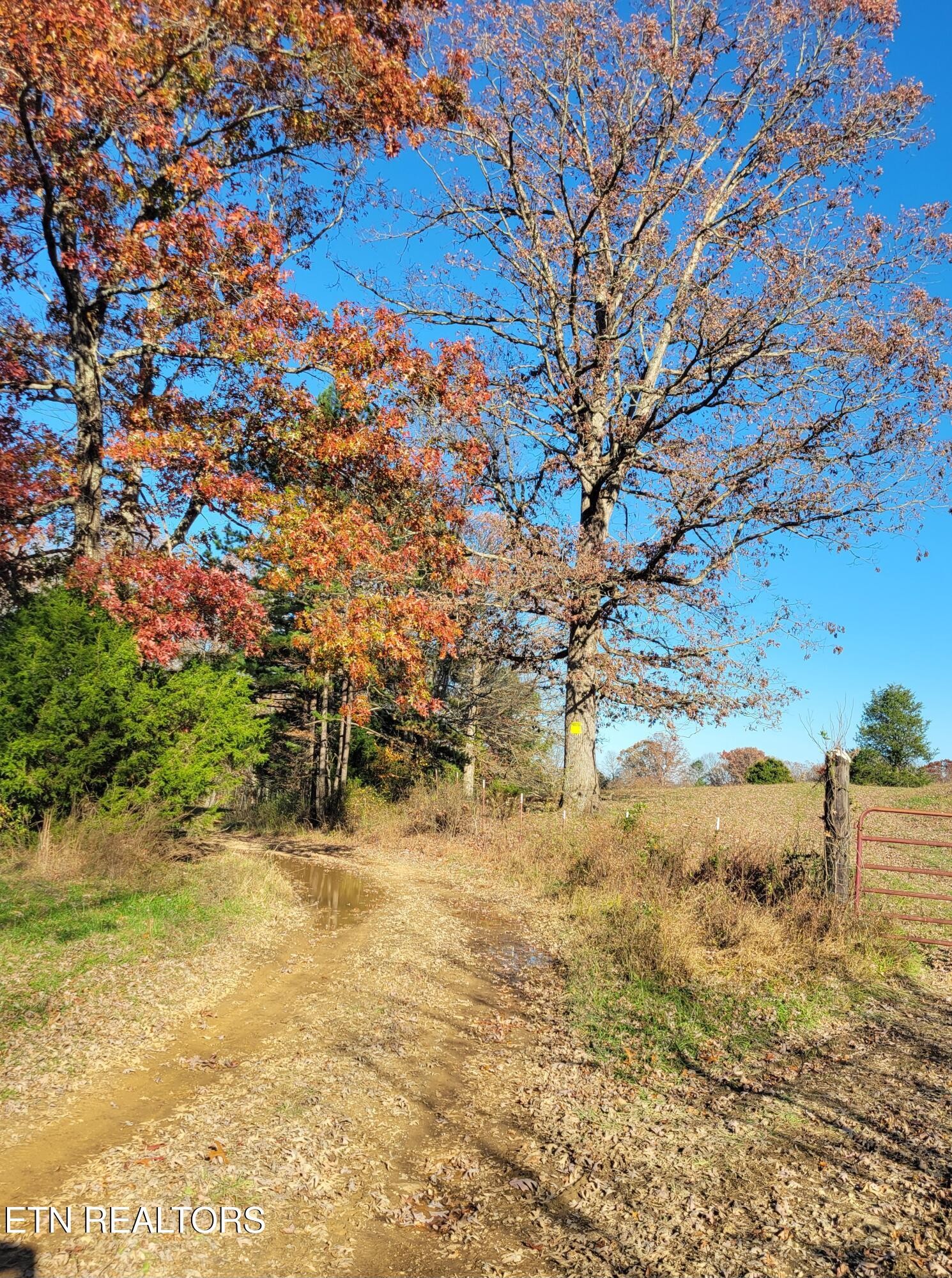 0 Kidd Mill Road Oneida, TN 37841 - Photo 20 of 24 Gallery Image 20