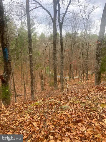 a view of a yard with trees in the background