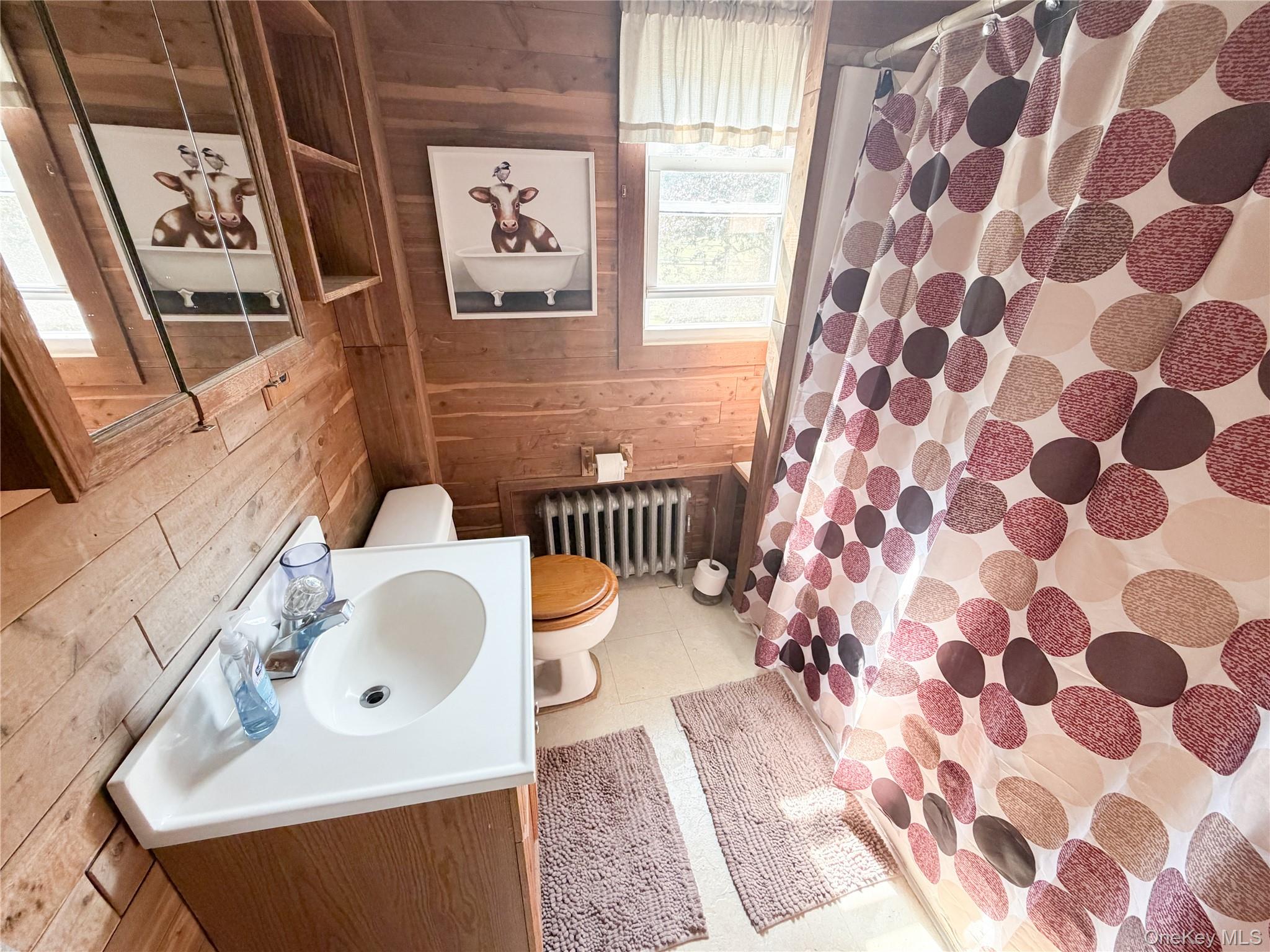 77 Rockland Road Roscoe, NY 12776 - Photo 15 of 20 Bathroom featuring natural wood plank walls, a white vanity with an integrated sink, and a mirrored medicine cabinet