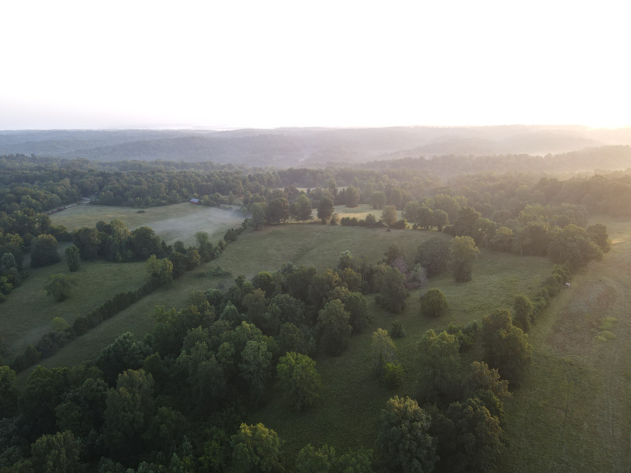4 Shiloh Canaan Road Palmyra, TN 37142 - Photo 15 of 24 Gallery Image 15
