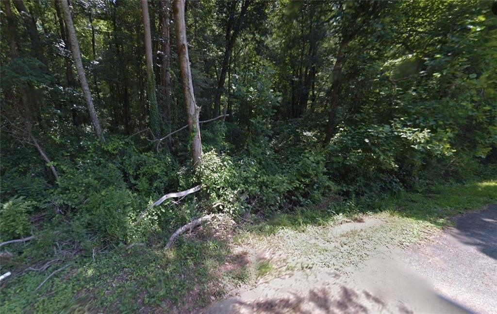 0 Freeman Drive, Unit 128 Stockbridge, GA 30281 - Photo 3 of 5 a view of a forest with trees