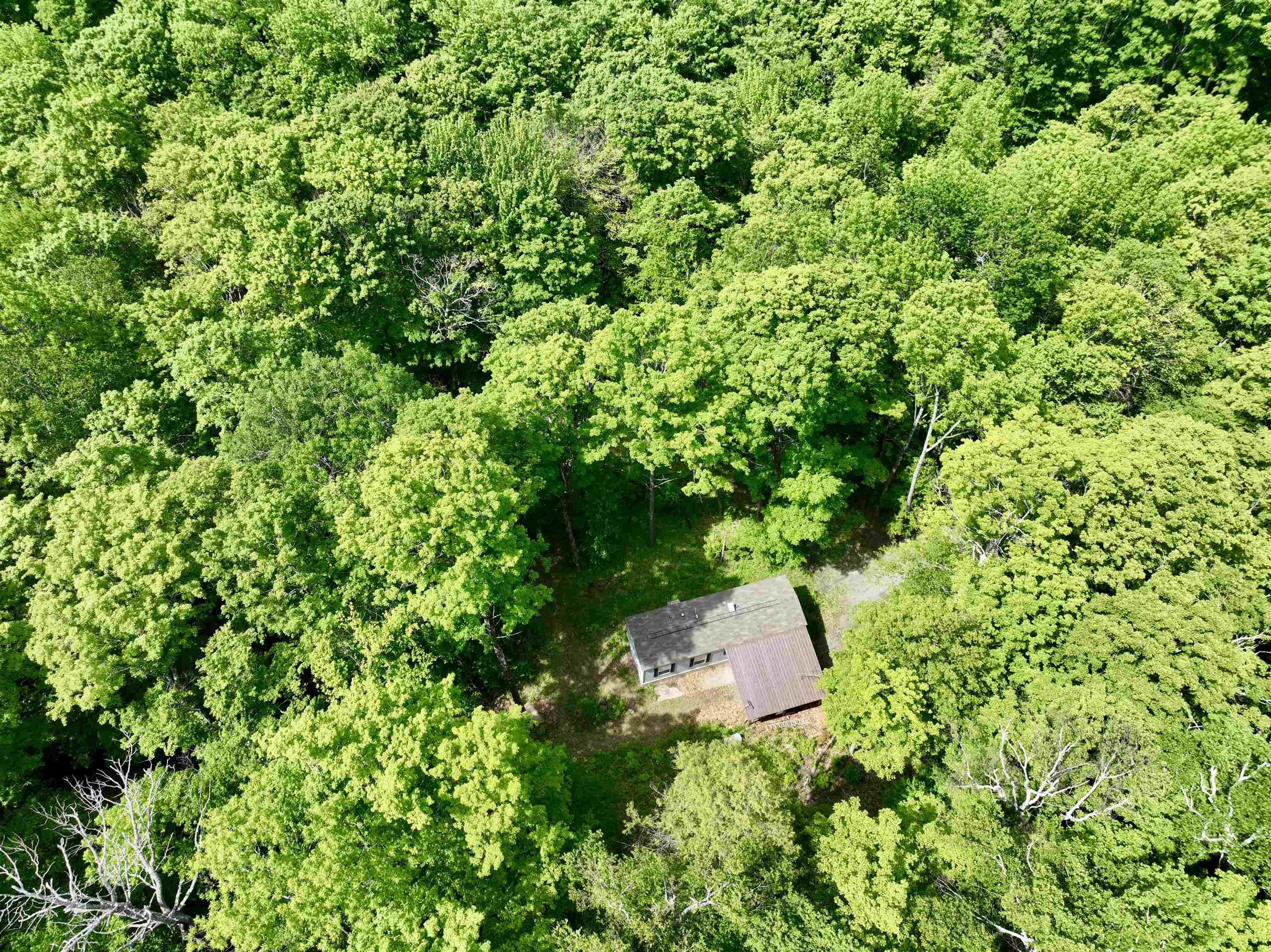 1190 Long Hill Road Woodstock, VT 05071 - Photo 4 of 12