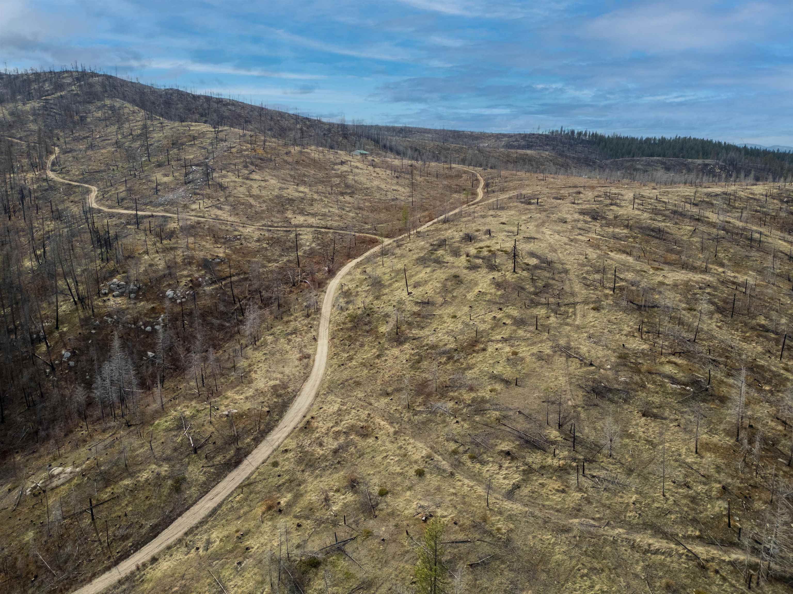 Lot 7 Rail Canyon Road Tumtum, WA 99034 - Photo 4 of 24 Gallery Image 4