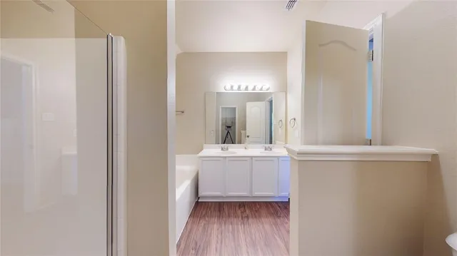 a bathroom with a sink mirror and a bathtub