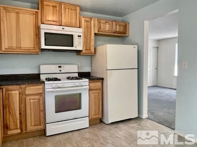 12095 Kernite Street Reno, NV 89506 - Photo 10 of 21 Photo 10