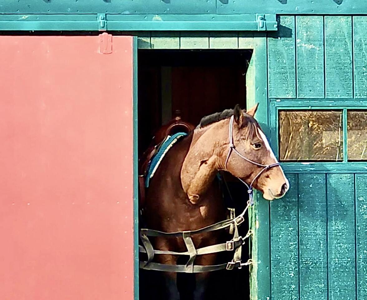 186 Garland Line Road Dover Foxcroft, ME 04426 - Photo 32 of 33 image000001