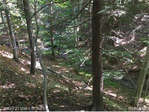 0 Huron Line Road East Minden City, MI 48456 - Photo 39 of 63 5030052560_61.jpg