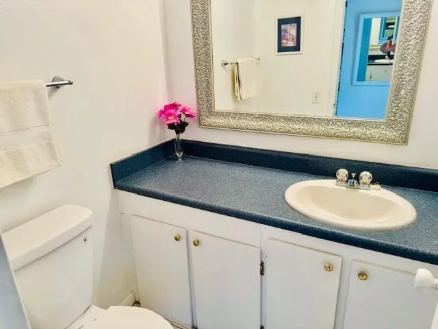 a bathroom with a sink and a toilet