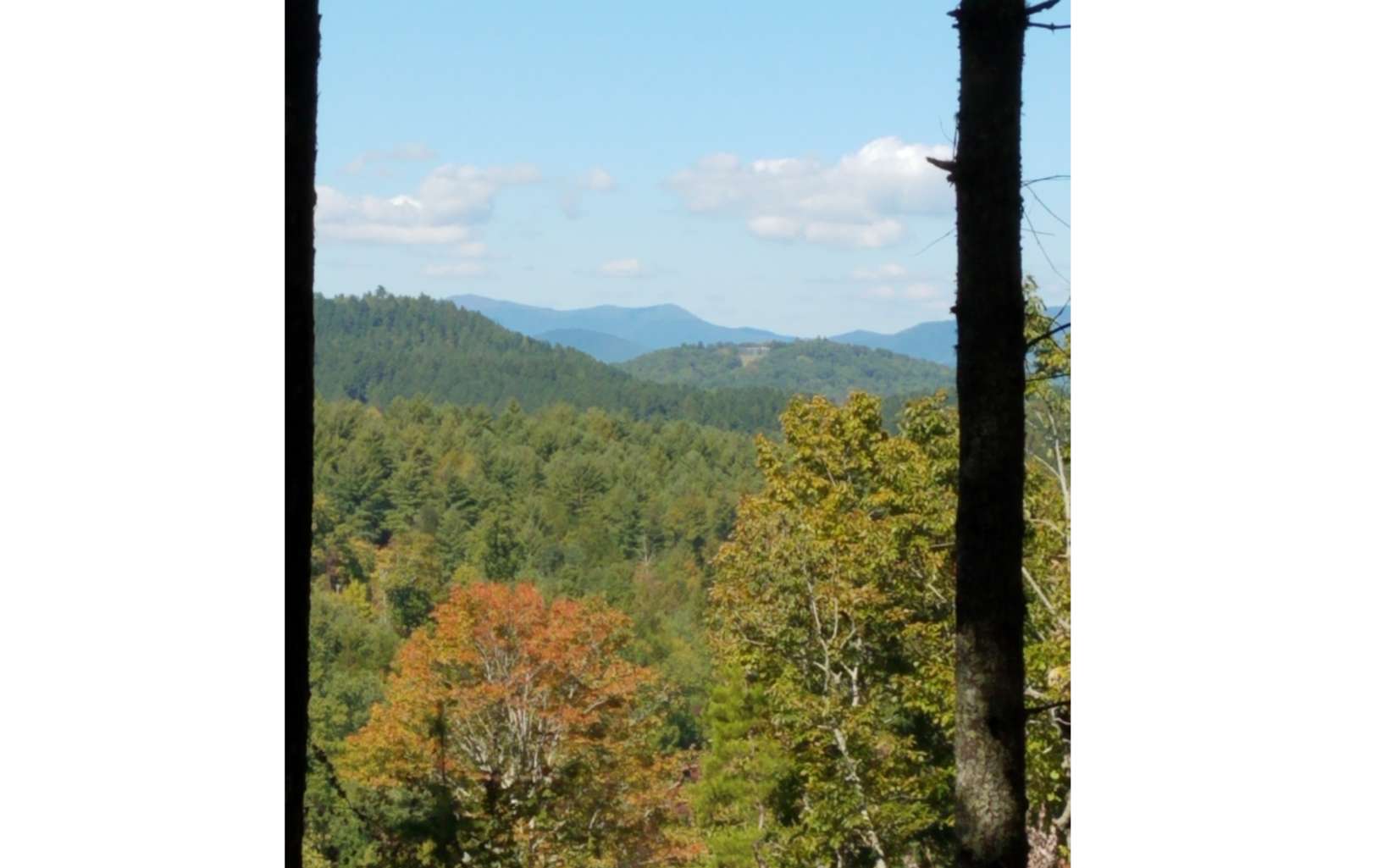 Refuge Ridge Road Murphy, NC 28906 - Photo 1 of 1 Main View