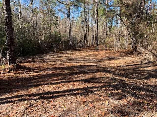 0 Bass Bridge Road Andalusia, AL 36420 - Photo 13 of 15 Gallery Image 13