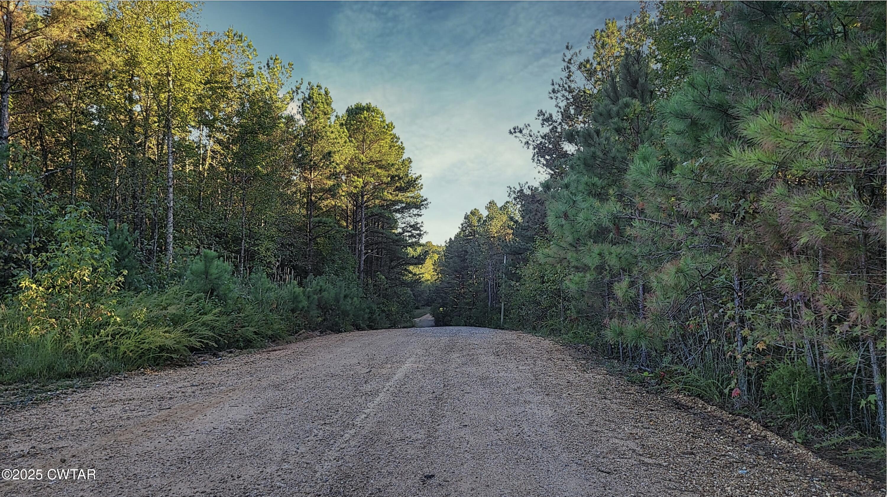 1 Falcon View Road Cedar Grove, TN 38321 - Photo 1 of 9 a view of a forest with trees in the background