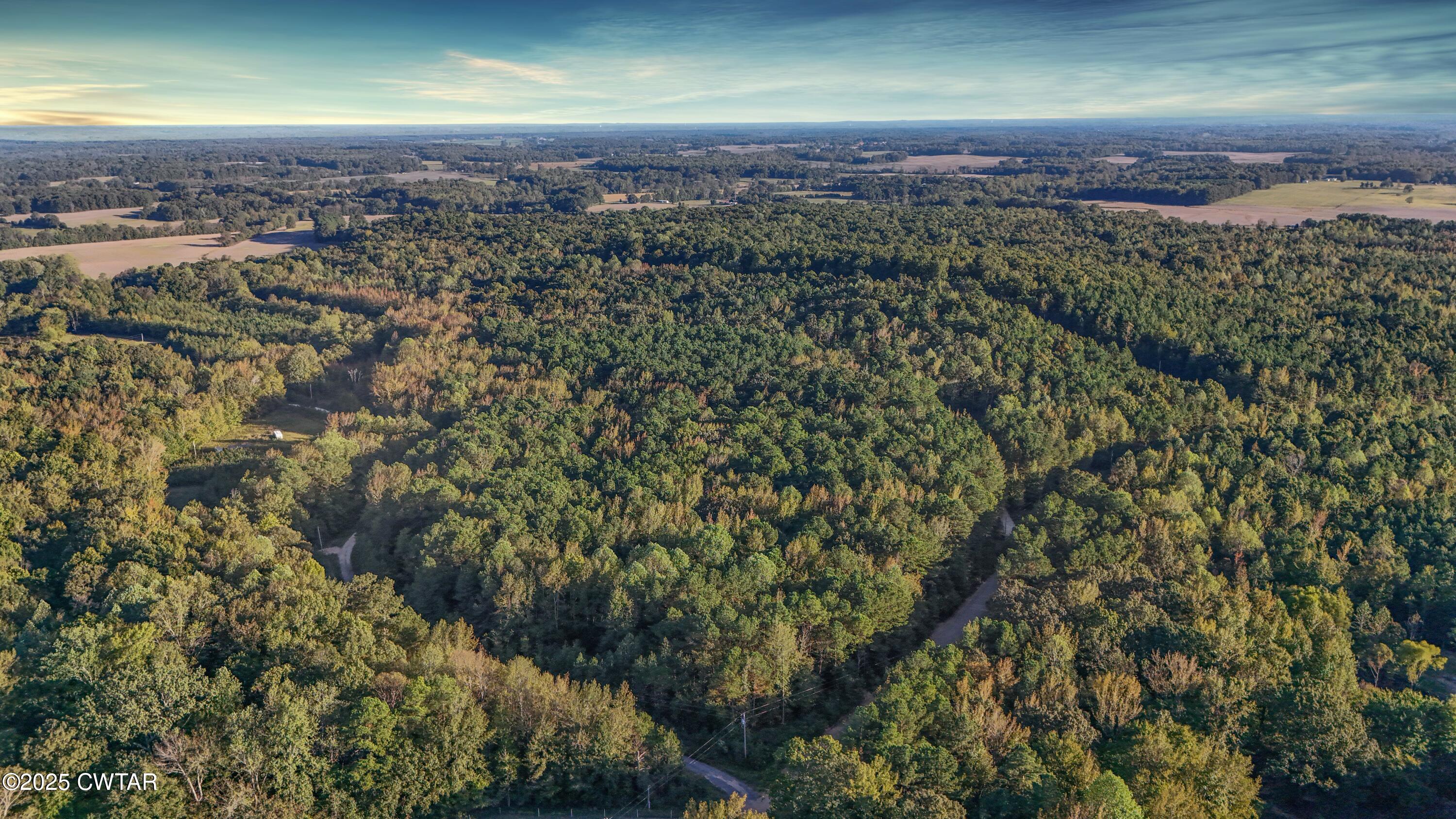 1 Falcon View Road Cedar Grove, TN 38321 - Photo 3 of 9 an aerial view of a house with a yard