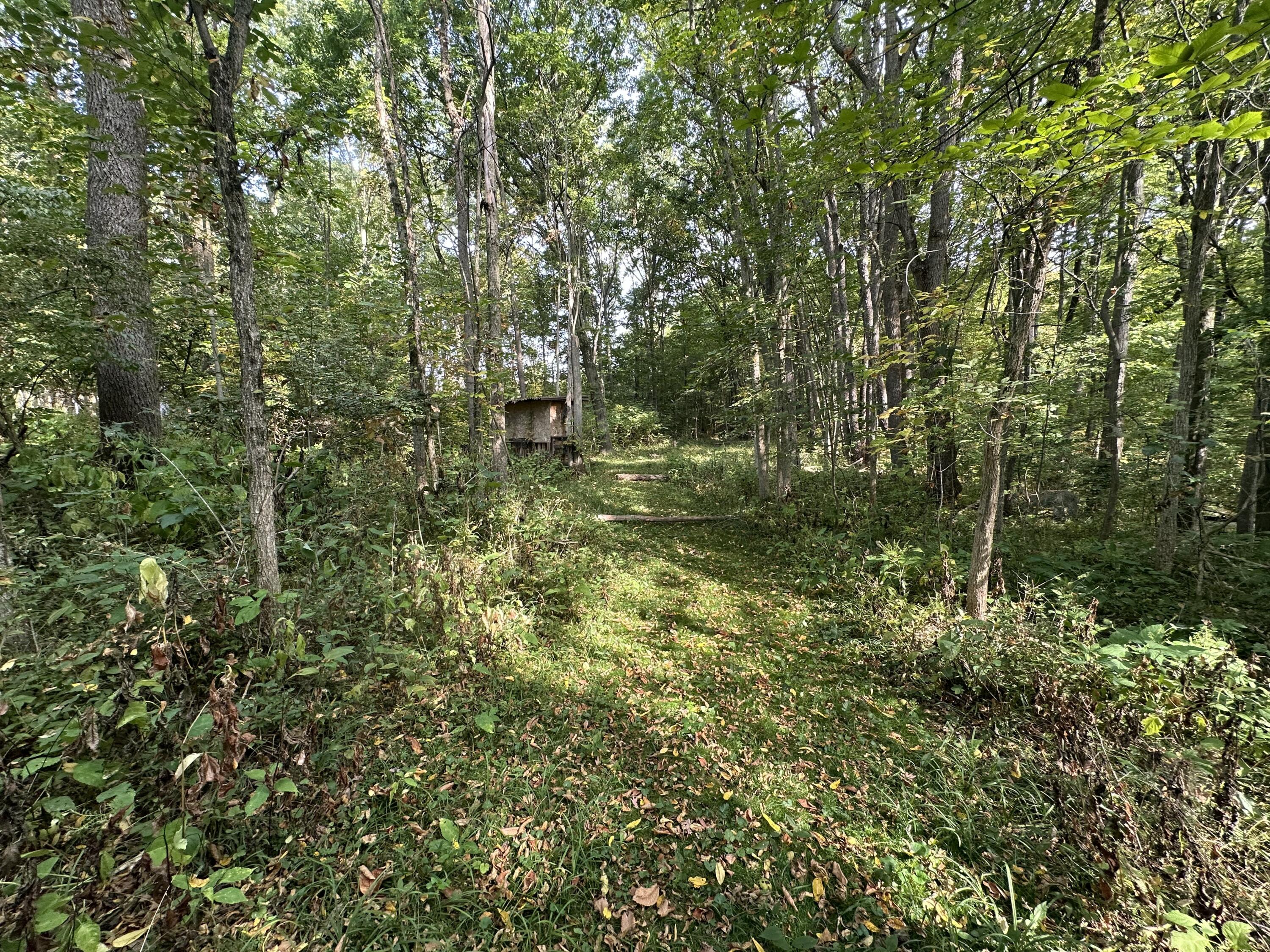 6990 Cuff Road Jackson, MI 49201 - Photo 27 of 33 IMG_2718