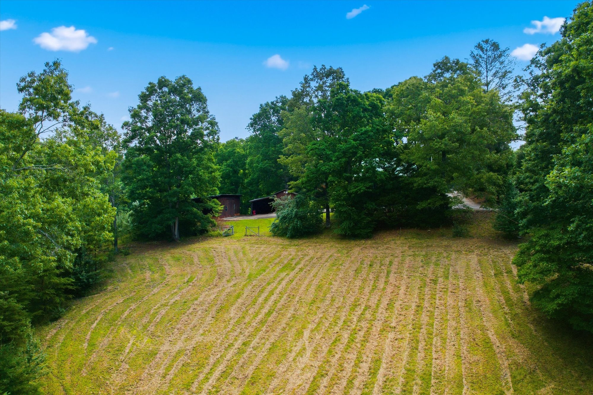 170 Mt Harmony Road Copperhill, TN 37317 - Photo 37 of 50