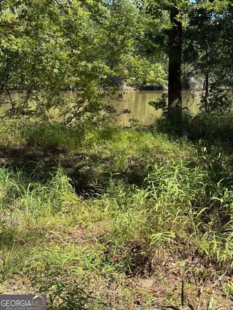 $145,000 | 0 Charles Lane, Springfield, GA 31329