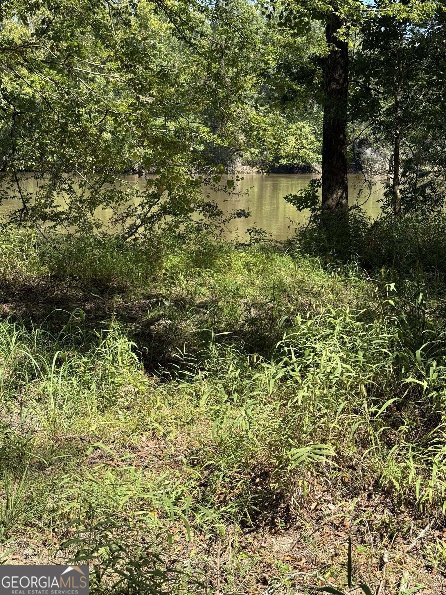 0 Charles Lane Springfield, GA 31329 - Photo 1 of 5