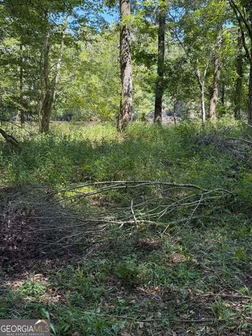 $169,500 | 0 Charles Lane, Springfield, GA 31329