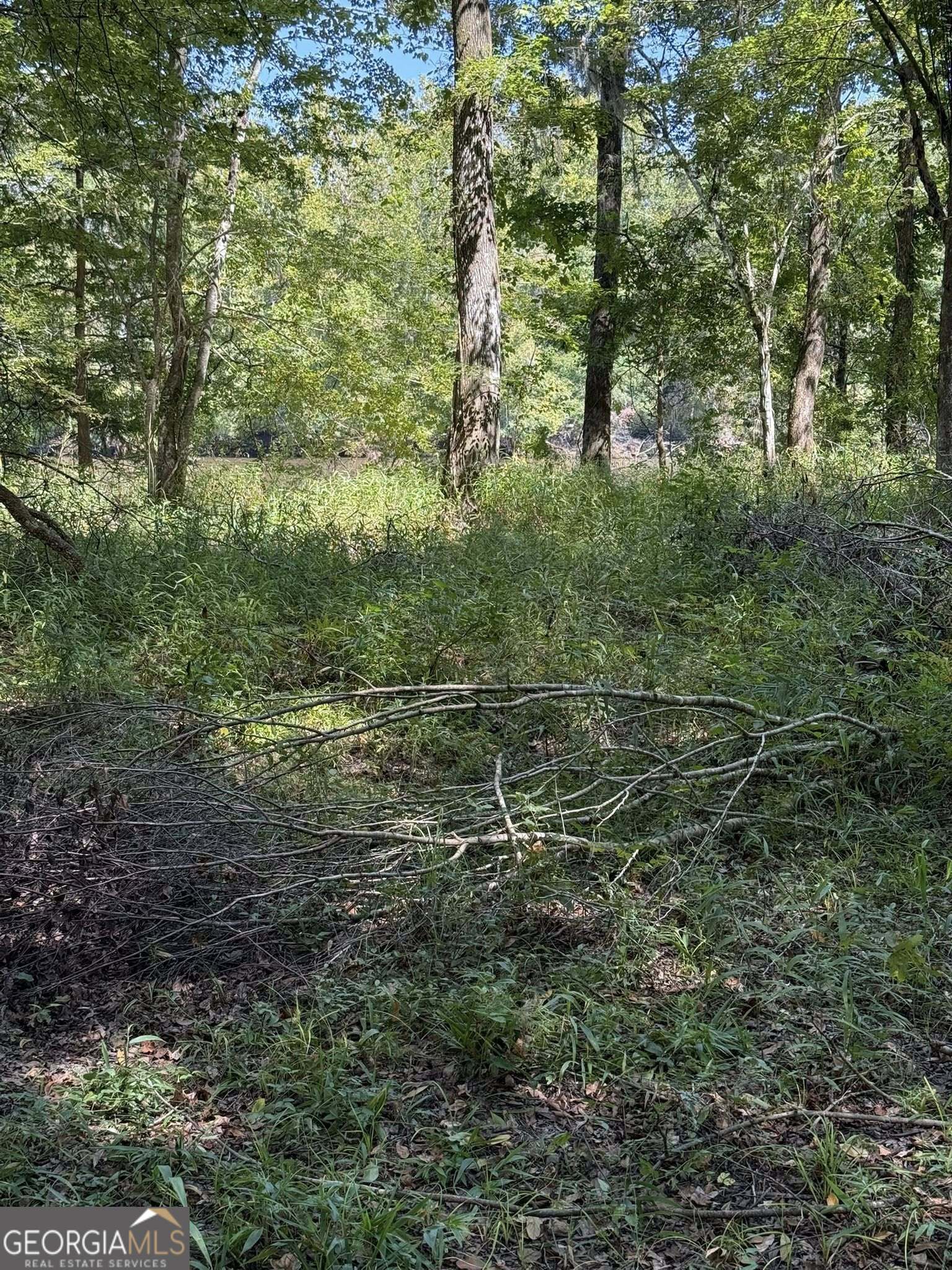 0 Charles Lane Springfield, GA 31329 - Photo 2 of 5