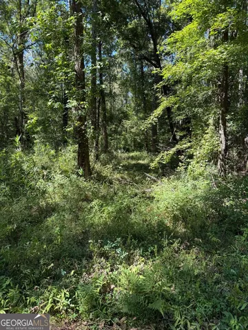 $169,500 | 0 Charles Lane, Springfield, GA 31329