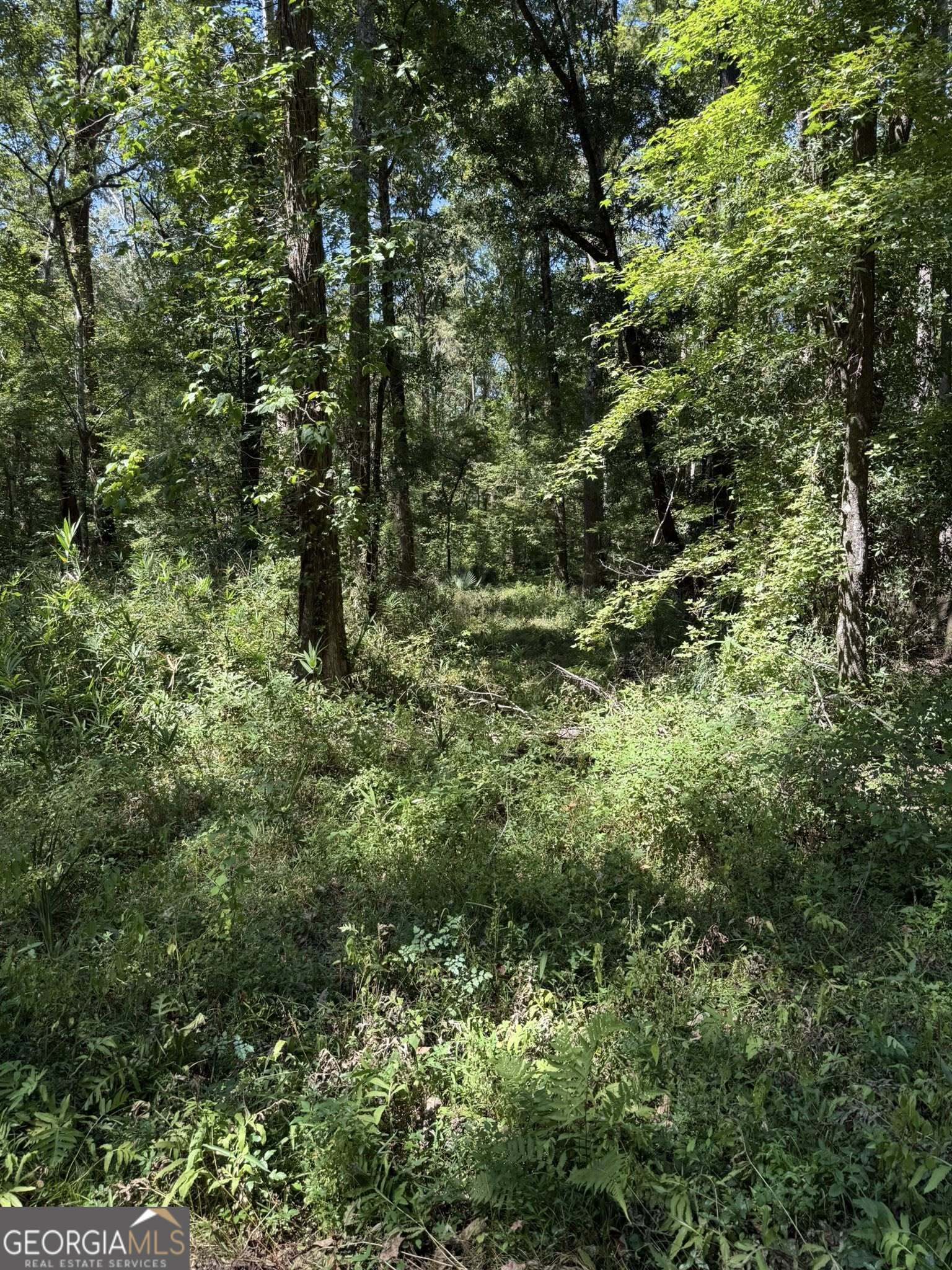 0 Charles Lane Springfield, GA 31329 - Photo 3 of 5