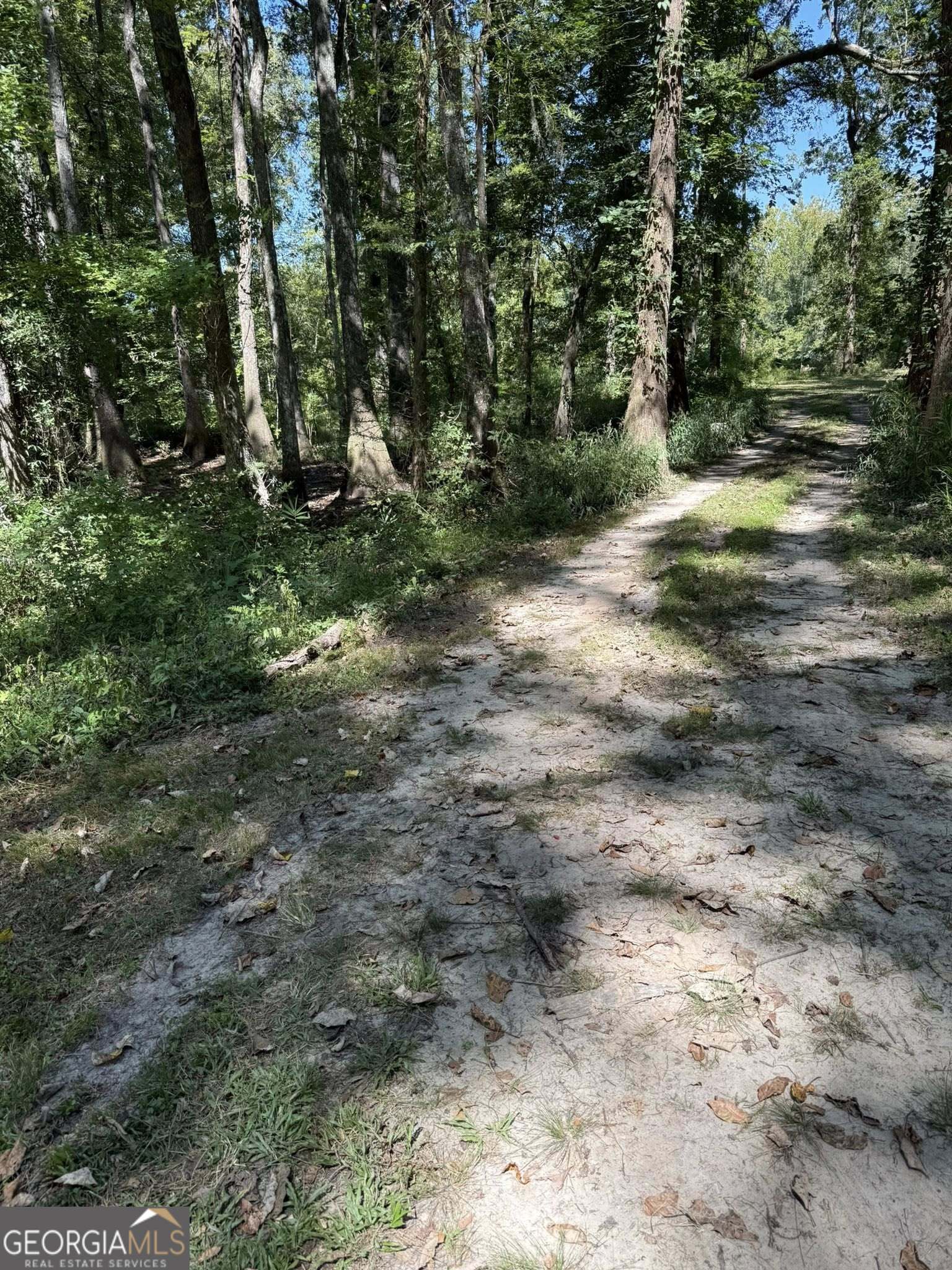 0 Charles Lane Springfield, GA 31329 - Photo 4 of 5