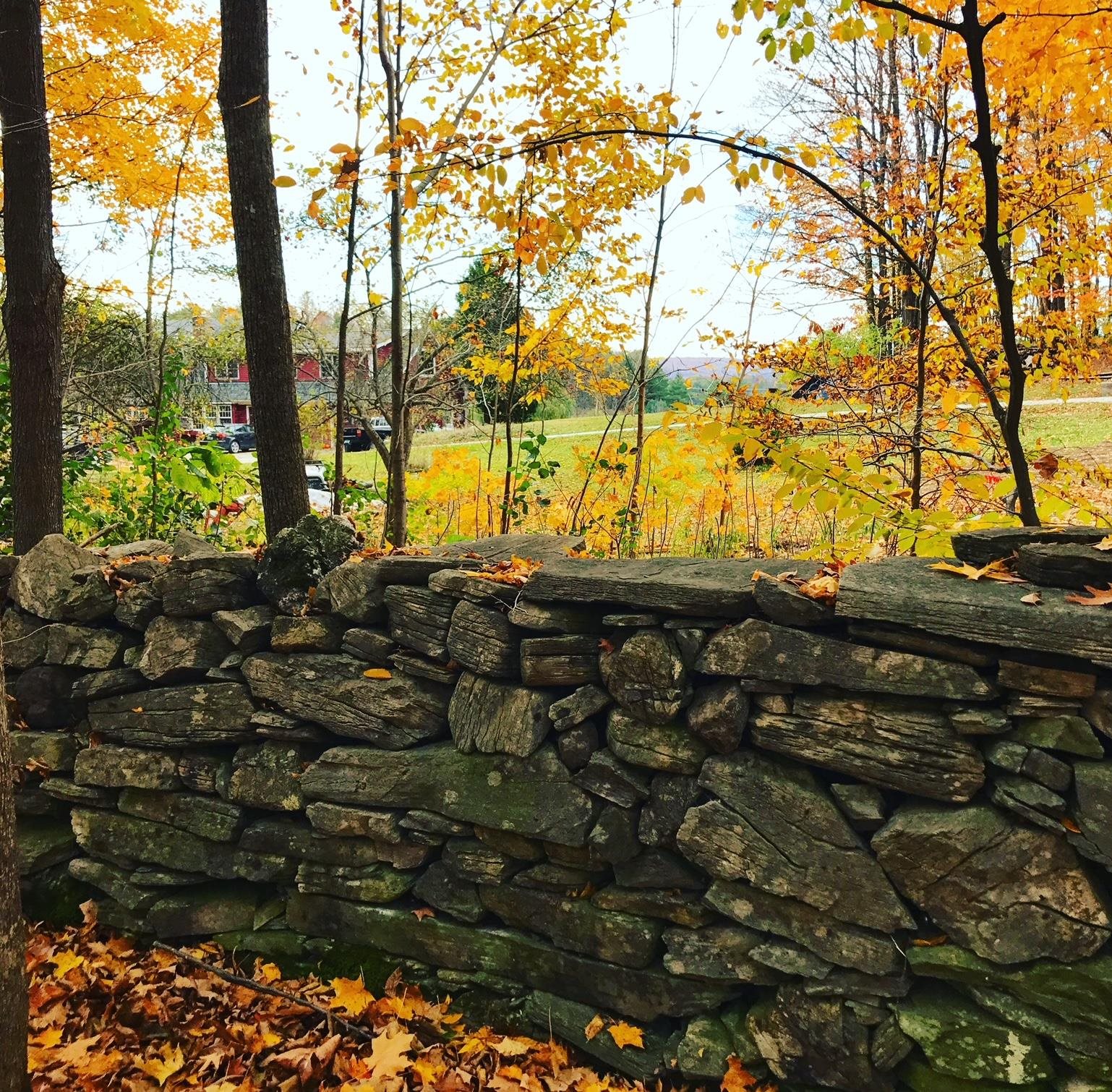 353 Schoolhouse Road Sudbury, VT 05733 - Photo 27 of 35 Gallery Image 27