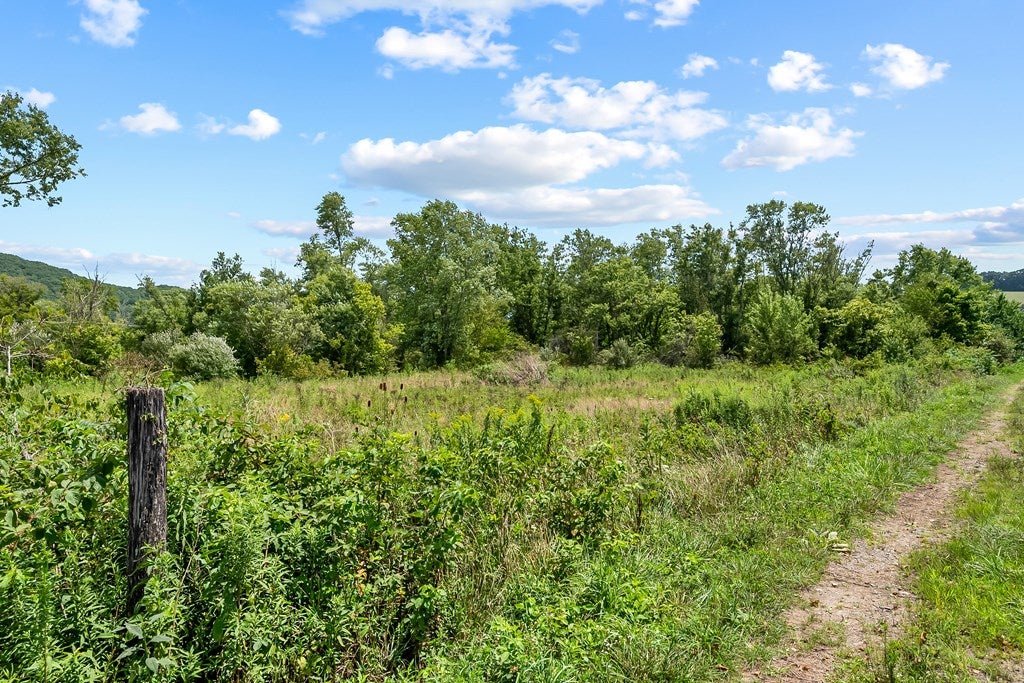 Tbd Tbd Chiswell Road, Unit 2328 Max Meadows, VA 24360 - Photo 15 of 17 Gallery Image 15