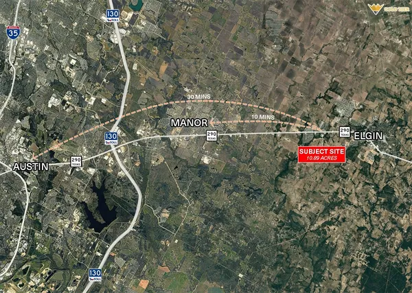 a close up of a tree