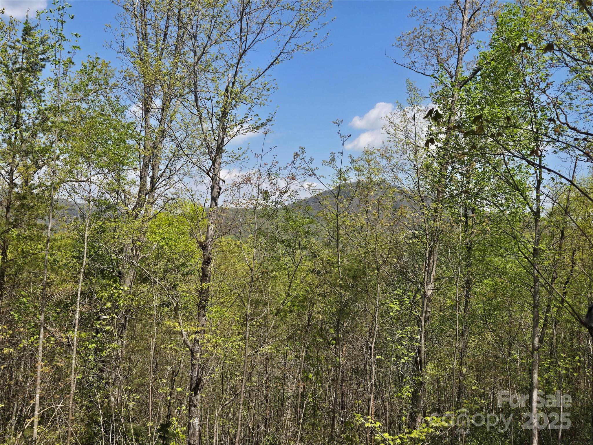 Lot 34 High Rock Ridge Lake Lure, NC 28746 - Photo 11 of 21 a view of a building