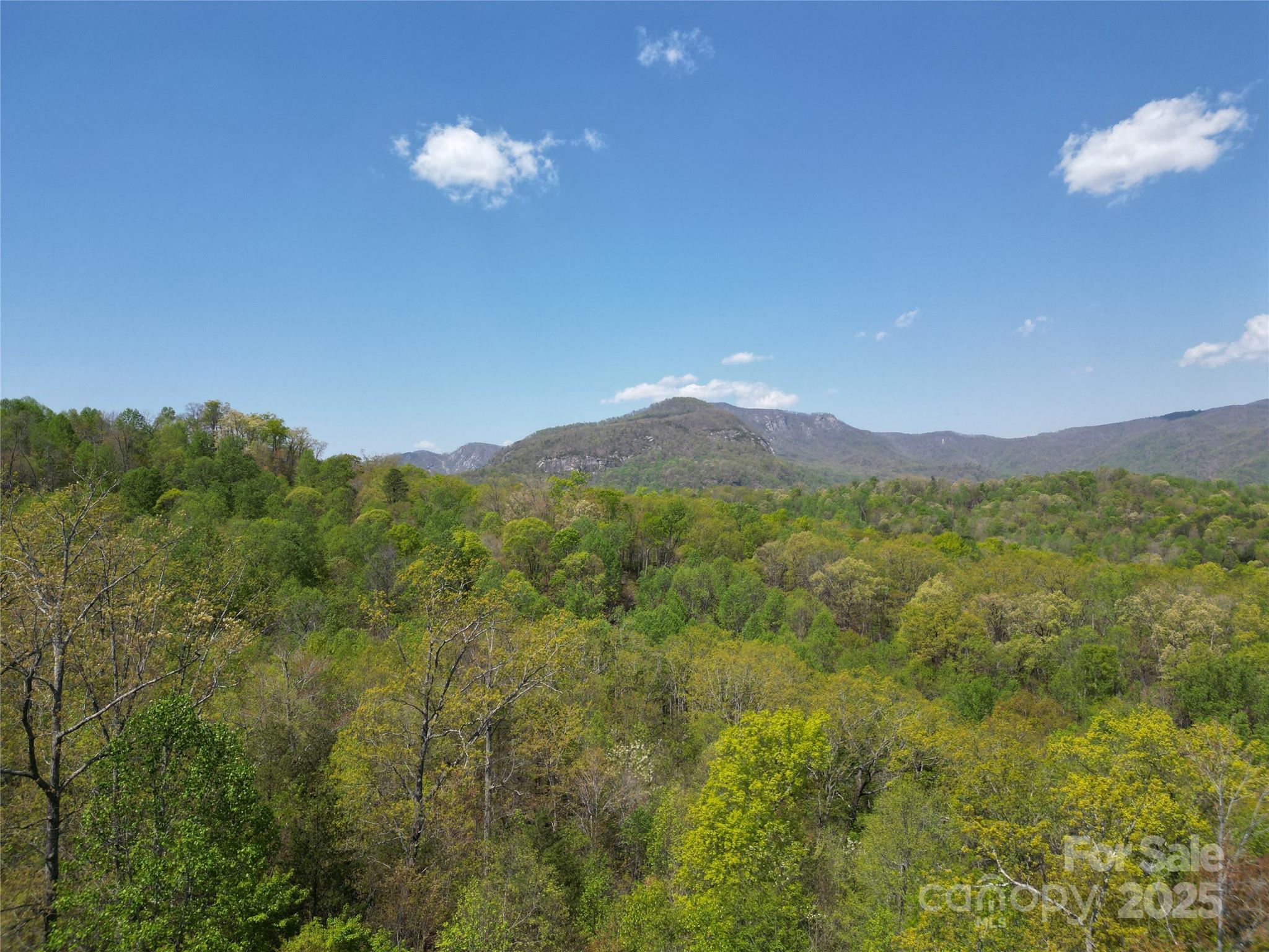 Lot 34 High Rock Ridge Lake Lure, NC 28746 - Photo 2 of 21 a view of a city with a mountain in the background